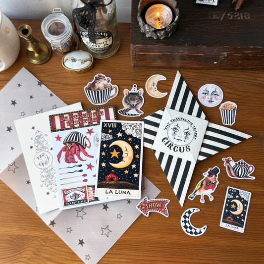 Catch Up: November 2025